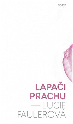 Lapači prachu