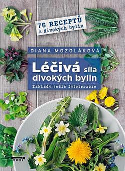 Léčivá síla divokých bylin