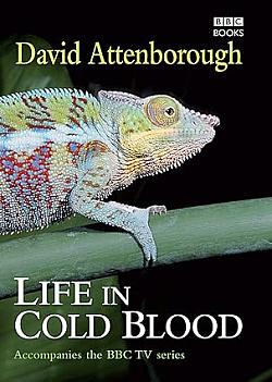 Life In Cold Blood