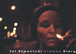 Limbus Diary