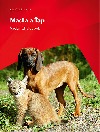 Madla a Ťap