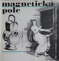 Magnetická pole