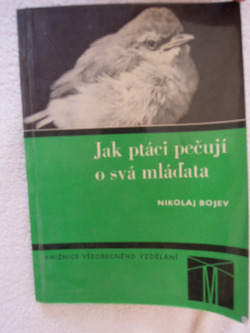 Jak ptáci pečují o svá mláďata