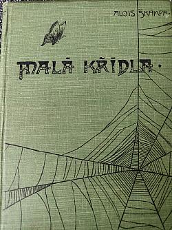 Malá křídla