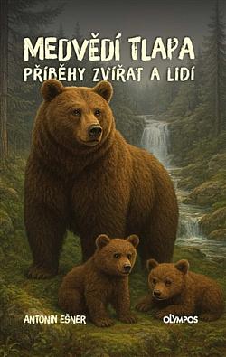 Medvědí tlapa
