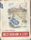 Mezi horami a lesy I.