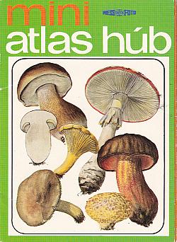 Mini atlas húb