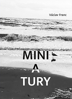 Miniatury