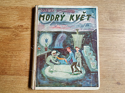 Modrý květ