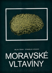 Moravské vltavíny