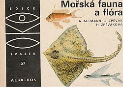 Mořská fauna a flóra