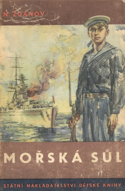 Mořská sůl