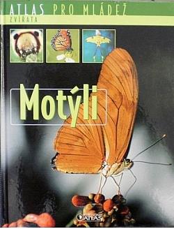 Motýli