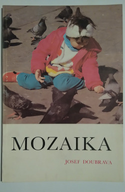 Mozaika