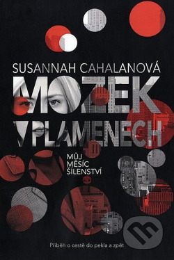 Mozek v plamenech: Můj měsíc šílenství