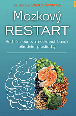 Mozkový restart