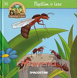 Mravenci