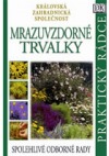 Mrazuvzdorné trvalky