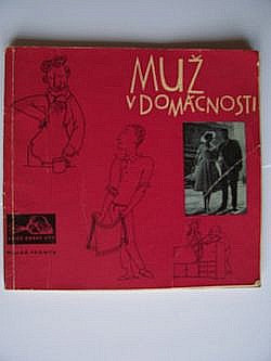 Muž v domácnosti
