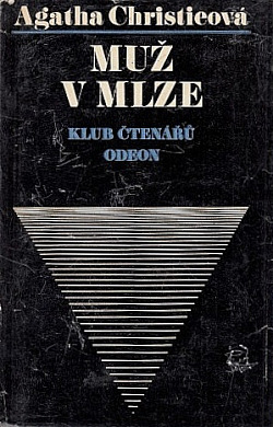 Muž v mlze