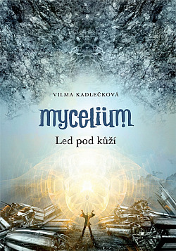 Led pod kůží