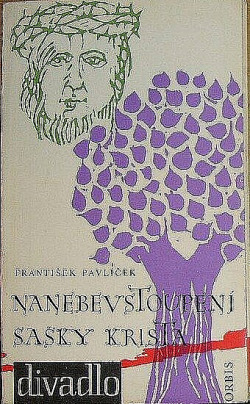 Nanebevstoupení Sašky Krista