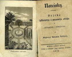 Narcisky