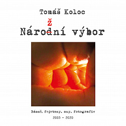 Nárožní výbor