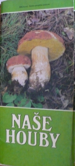 Naše houby