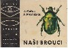 Naši brouci