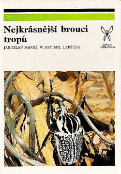 Nejkrásnější brouci tropů