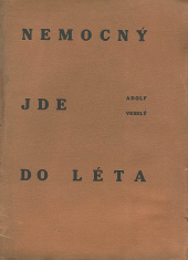 Nemocný jde do léta