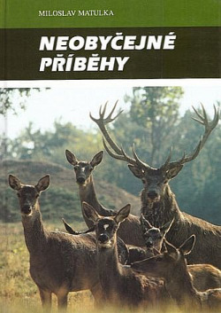 Neobyčejné příběhy