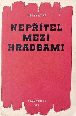 Nepřítel mezi hradbami