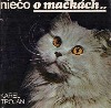 Niečo o mačkách