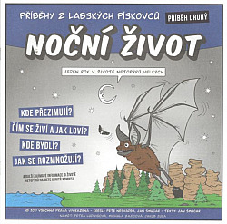 Noční život