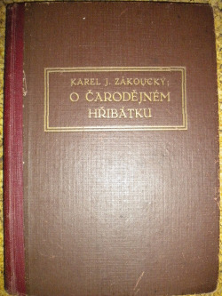 O čarodějném hřibátku