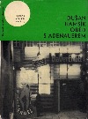 Oběd s Adenauerem