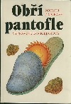 Obří pantofle