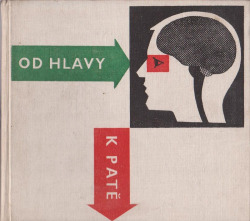 Od hlavy k patě