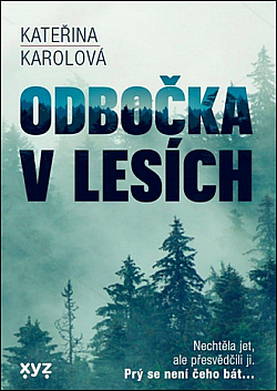 Odbočka v lesích