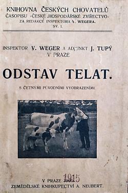 Odstav telat
