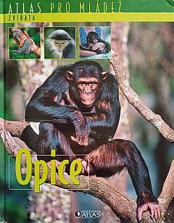 Opice