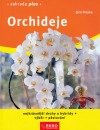 Orchideje