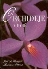 Orchideje v bytě
