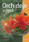 Orchideje v bytě