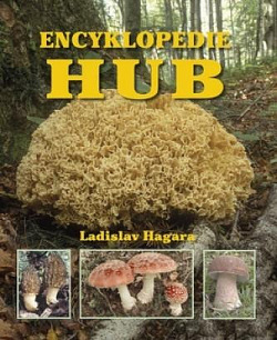 Ottova encyklopedie hub