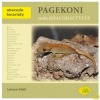 Pagekoni rodu Rhacodactylus