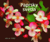 Paprsky světla