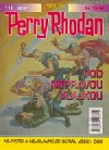 Pod nepravou vlajkou